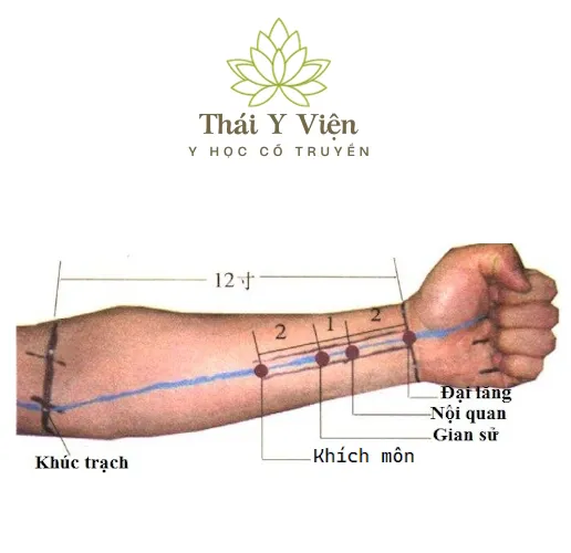 Huyệt Huyệt Khúc Trạch