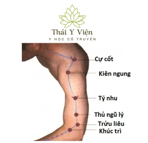 Huyệt Huyệt Kiên Ngung