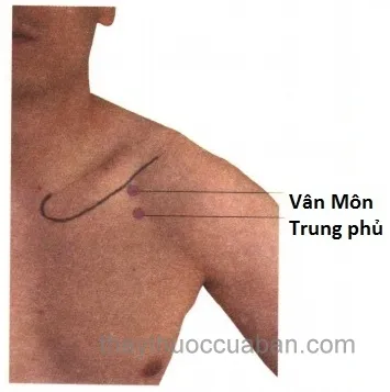 Huyệt Trung Phủ (LU1)