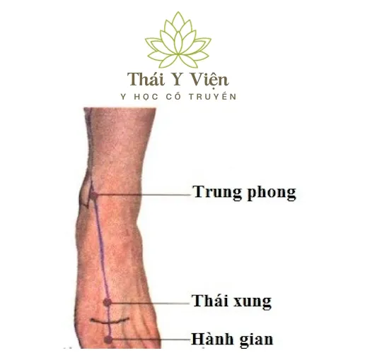 Huyệt Hành Gian (LR2)