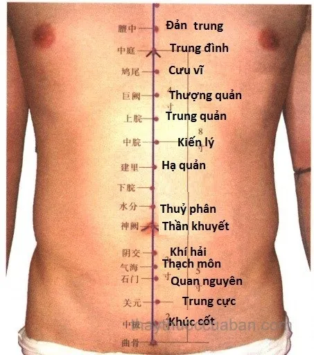 Châm cứu huyệt Khí Hải Quan Nguyên
