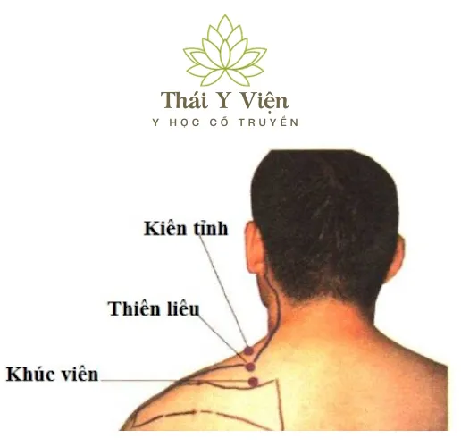 Huyệt Huyệt Kiên Tỉnh