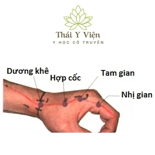 Huyệt Huyệt Hợp Cốc (LI4)