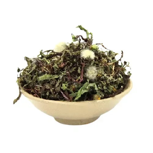 Bồ công anh trị dị ứng