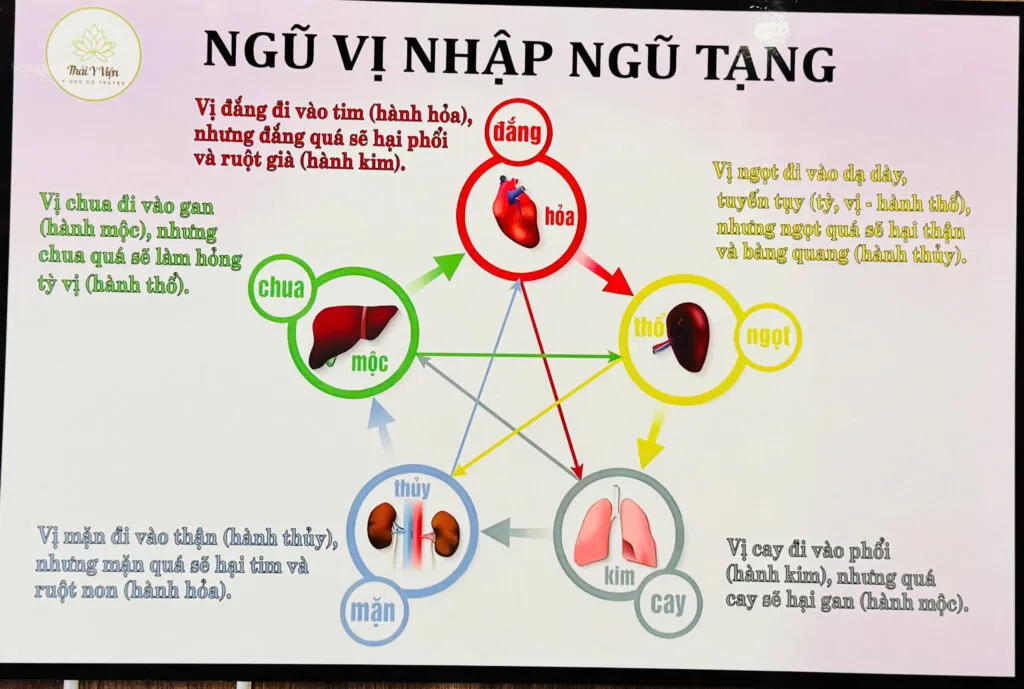 Ngũ vị nhập Ngũ tạng - Lưu ý về cách ăn uống