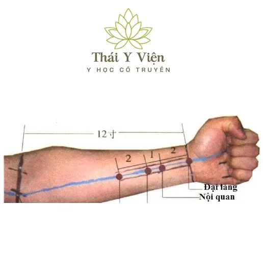 Huyệt Huyệt Nội Quan (PC6)