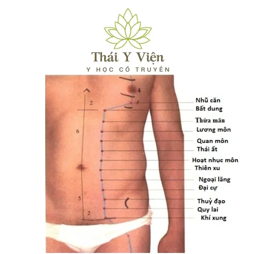 Huyệt Lương Môn hỗ trợ tiêu hóa