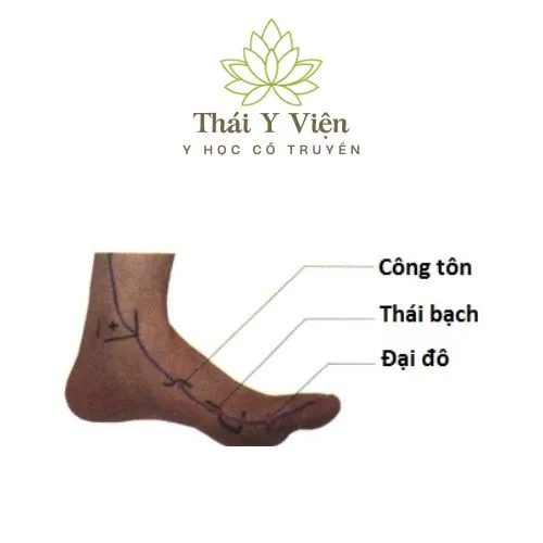 Huyệt Công Tôn kiện Tỳ