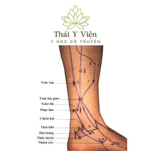 Huyệt Phục Lưu (KI7)