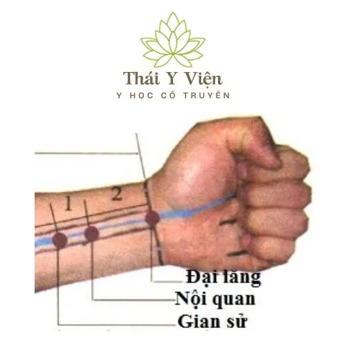 Huyệt Nội Quan (PC6)