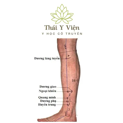 Huyệt Huyệt Dương Lăng Tuyền