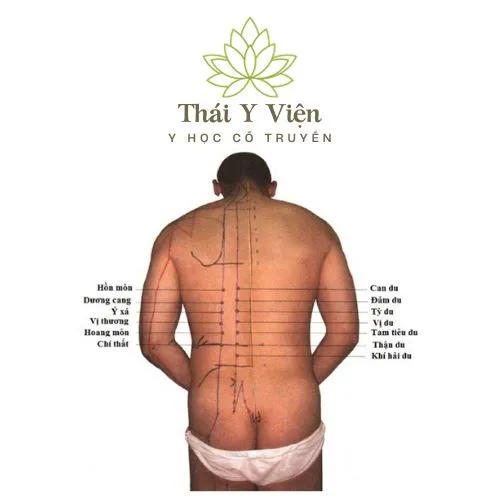 Huyệt Huyệt Thận Du