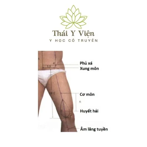 Huyệt Âm Lăng Tuyền hỗ trợ tiêu hóa