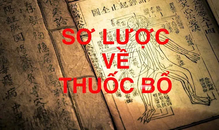 Sơ Lược Về Thuốc Bổ