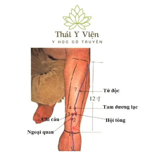 Huyệt Huyệt Ngoại Quan