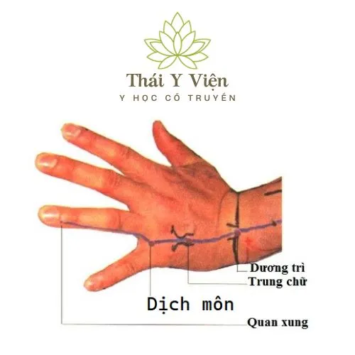 Huyệt Huyệt Dương Trì